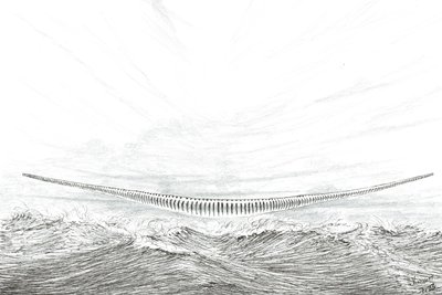 Sturmerschaffer Cape Leveque, 2023 von Vincent Alexander Booth