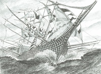 Sturmerschaffer Lagoa Mangueira von Vincent Alexander Booth