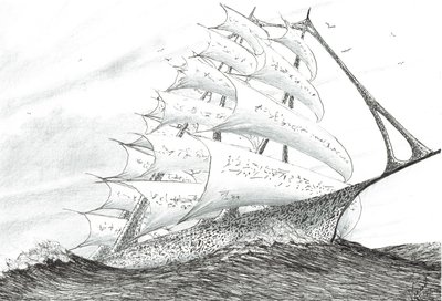 Sturmerschaffer Süd-Taranaki-Bucht von Vincent Alexander Booth