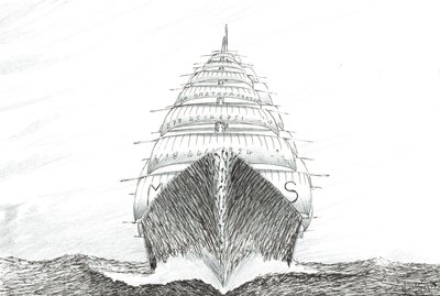 Sturmerschaffer Südwestkap von Vincent Alexander Booth