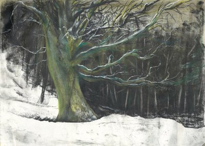 Baum im Winterschnee in Osmotherley Wäldern von Vincent Alexander Booth