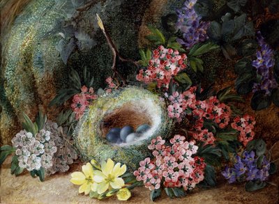 Vogelnest mit Blumen und Primeln. Gemälde von Vincent Clare (um 1855-1930) Privatsammlung. von Vincent Clare