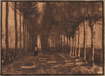 Allee von beschnittenen Birken und Pappeln von Vincent van Gogh