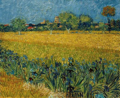 Blick auf Arles mit Irisblüten im Vordergrund von Vincent van Gogh
