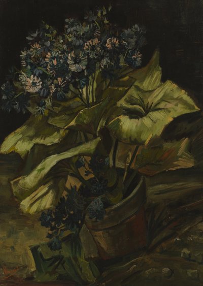 Cineraria von Vincent van Gogh