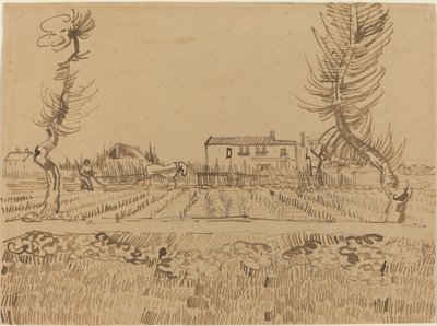 Pflüger auf den Feldern bei Arles, 1888 von Vincent van Gogh
