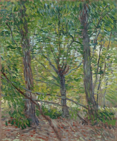  von Vincent van Gogh