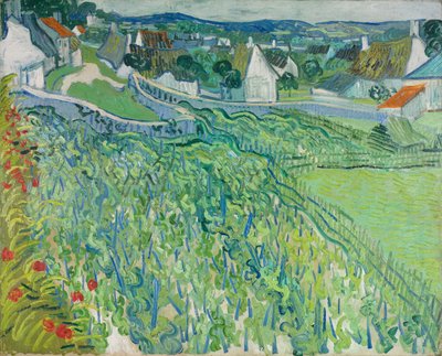 Weinberge in Auvers, Juni 1890 von Vincent van Gogh