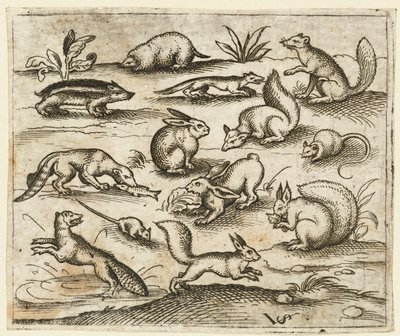 Gruppe kleiner Waldtiere, die um einen Teich essen und herumlaufen, einschließlich einer Maus, 1557 von Virgil Solis