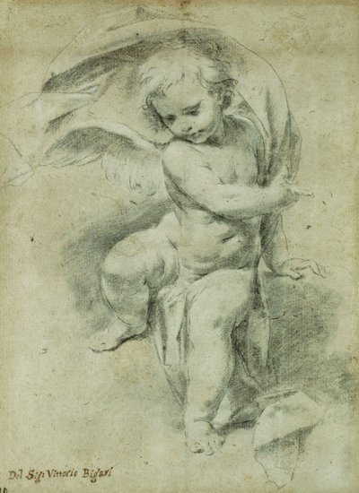 Ein Engel von Vittorio Maria Bigari