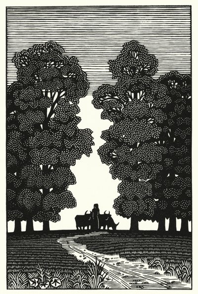 Illustration für Tess von den d