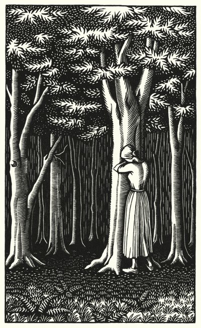 Illustration für Tess von den d