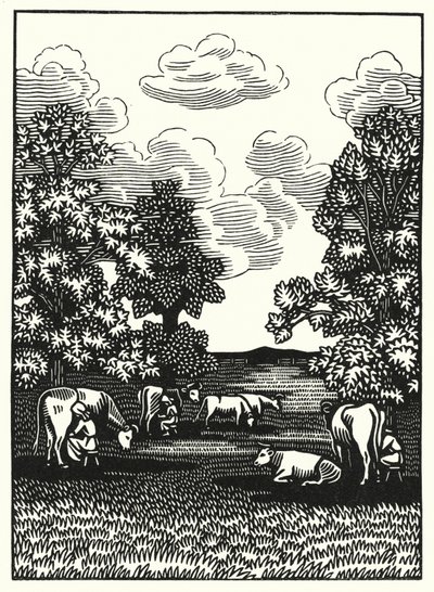 Illustration für Tess von den d
