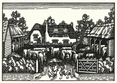 Illustration für Tess von den d