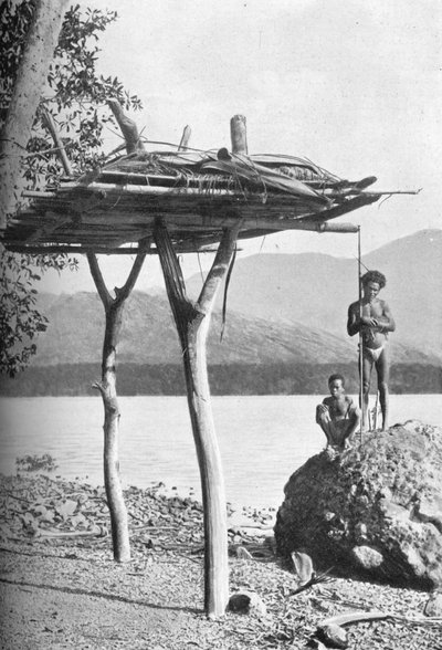 Totenplattform in Neuguinea, 1902 von W. Lindt