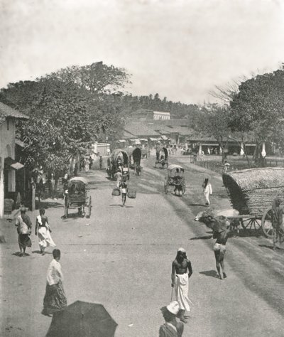 Straßenszene in der Nähe des Rathauses, Colombo, Ceylon, 1895 von W and S Ltd