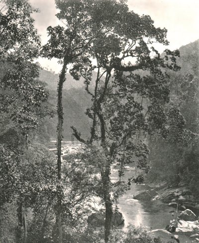 Ansicht des Kelani-Flusses, Kurunegala, Ceylon, 1895 von W and S Ltd
