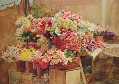 Blumenstand auf dem Markt von Mentone, ca. 1910-1912 von Walter Frederick Roofe Tyndale