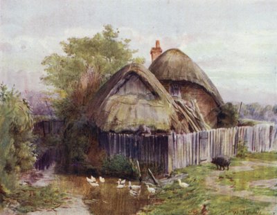 Der New Forest: Ein Cottage in Bartley von Walter Frederick Roofe Tyndale