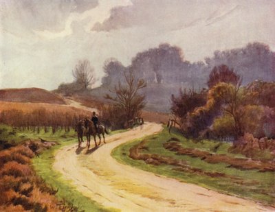 Der New Forest: Beaulieu, Lyndhurst von Walter Frederick Roofe Tyndale