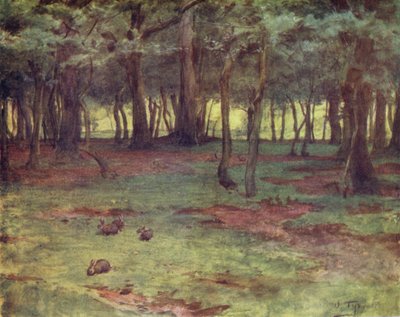 Der New Forest: Die Wälder in Setley Plain (Farblithografie) von Walter Frederick Roofe Tyndale