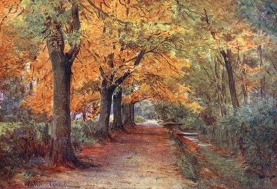 Wessex: Bockhampton Bank, in der Nähe von Dorchester von Walter Frederick Roofe Tyndale