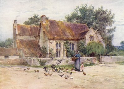 Wessex: Wälder bei Mere, Wilts von Walter Frederick Roofe Tyndale