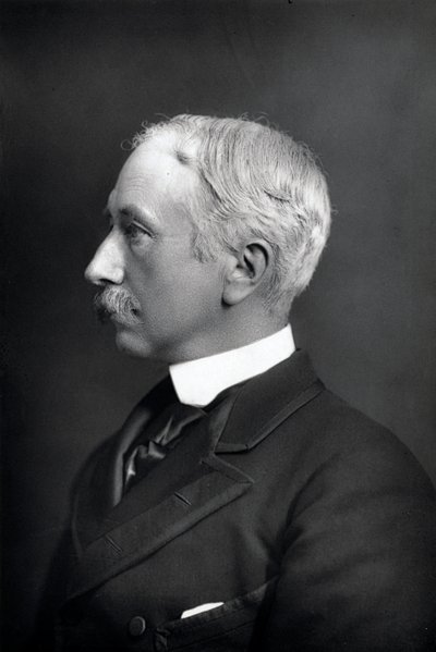Garnet Joseph Wolseley, Viscount Wolseley, irisch-geborener britischer Soldat von WandD Downey