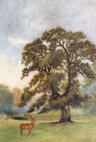 Die Eiche des Abtes, Woburn von Warwick (after) Goble