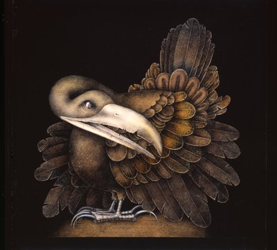 Bombax-Vogel von Wayne Anderson