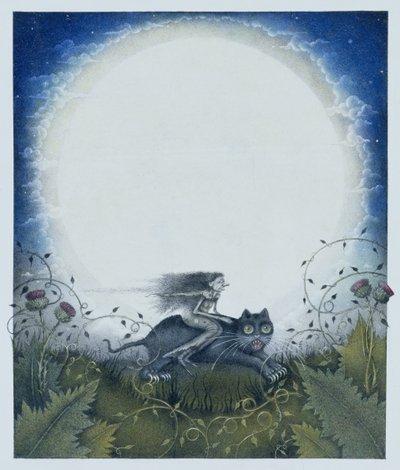 Schottische Hexe auf einer schwarzen Katze von Wayne Anderson