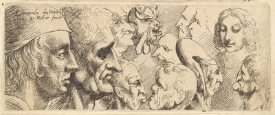 Eine Vielzahl von Köpfen, 1625-77 von Wenceslaus Hollar