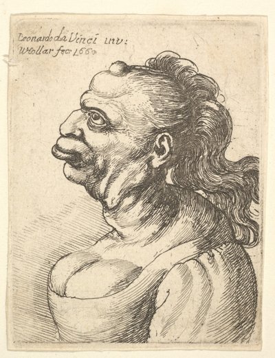 Büste einer Frau mit tief ausgeschnittenem Kleid, mit hervorstehender Lippe, Wuchs auf ihrer Stirn von Wenceslaus Hollar