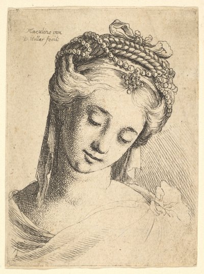 Büste einer jungen Frau mit aufwendigem Kopfschmuck, nach unten blickend von Wenceslaus Hollar