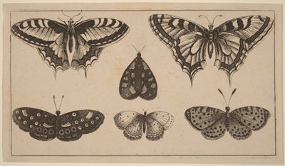  von Wenceslaus Hollar