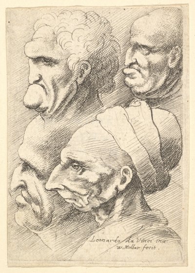 Vier groteske Köpfe im Profil nach links, 1625-77 von Wenceslaus Hollar