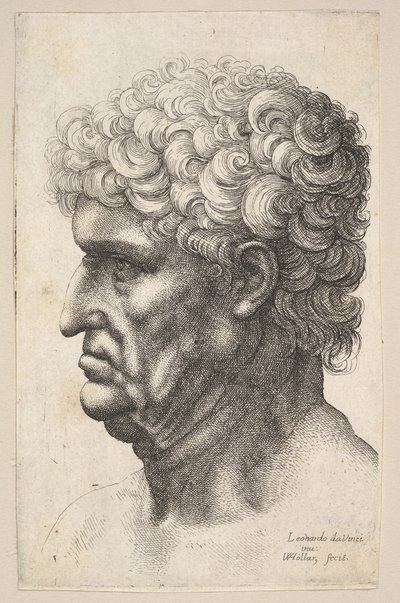 Kopf eines Mannes mit dickem lockigem Haar im Profil nach links von Wenceslaus Hollar