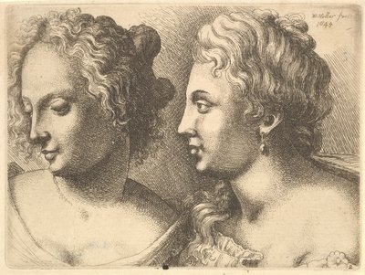 Köpfe von zwei jungen Frauen, 1645 von Wenceslaus Hollar