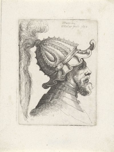 Kopf eines Mannes mit Federhelm von Wenceslaus Hollar