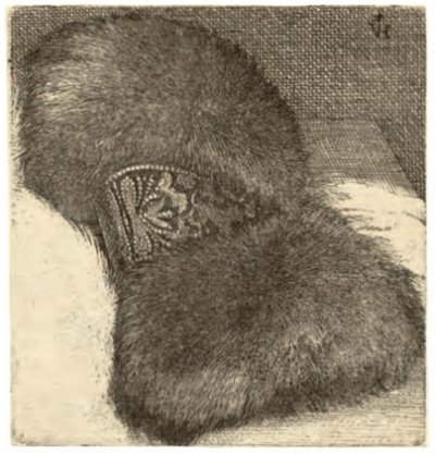 Muff mit Brokatband von Wenceslaus Hollar