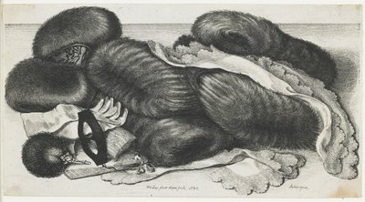 Muffs und Kleidungsstücke auf einem Tisch, 1647 von Wenceslaus Hollar