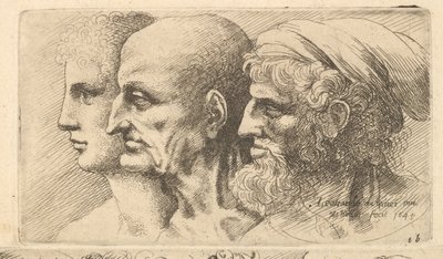 Reihe von drei Köpfen im Profil nach links, 1645 von Wenceslaus Hollar