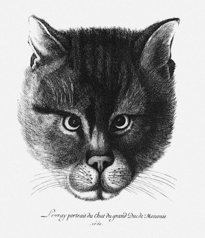 Wahres Bild der Katze des Zaren Alexei I. Michailowitsch von Russland von Wenceslaus Hollar