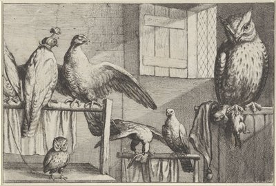 Falken und Eulen in einer Scheune von Wenceslaus Hollar
