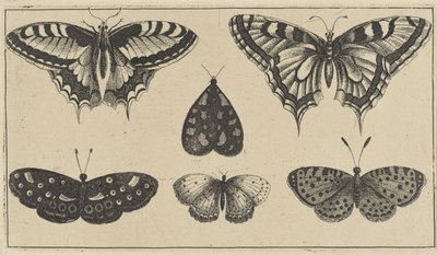 Fünf Schmetterlinge und eine Motte von Wenceslaus Hollar