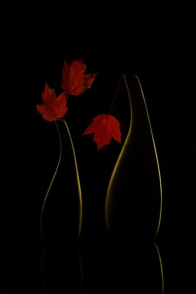 Leuchtende Herbstvasen von Wendy Xu