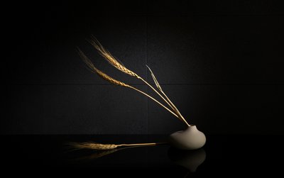 Goldenes Weizen Stillleben von Wendy Xu