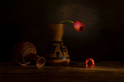 Stimmungsvolles Tulpenstillleben von Wendy Xu