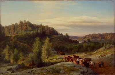 Landschaft bei Kuru im Abendlicht von Werner Holmberg