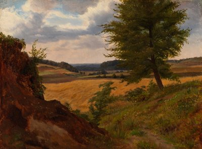 Baum in einer Feldlandschaft, Studie von Werner Holmberg